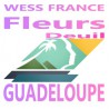 FLEURS DEUIL GUADELOUPE